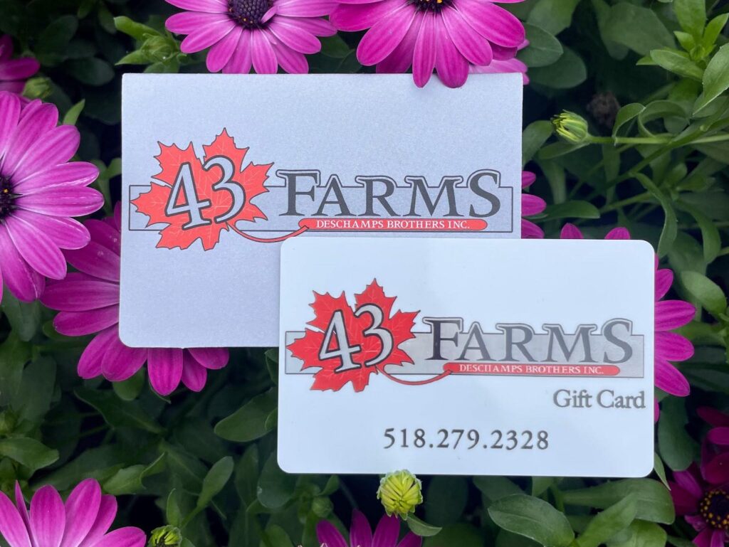 495537413 621796357584659 2521572054451167256 n