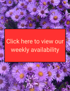 click here to view our weekly availability (1)