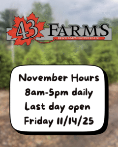 Fall Hours