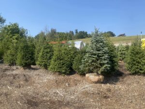 480709199 557554040675558 7438536061623027627 n