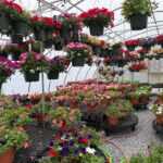 Annual Grow House (closed to public)