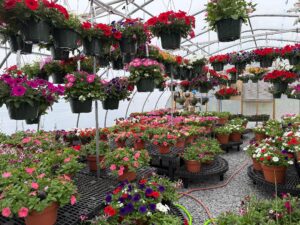 Annual Grow House (closed to public)