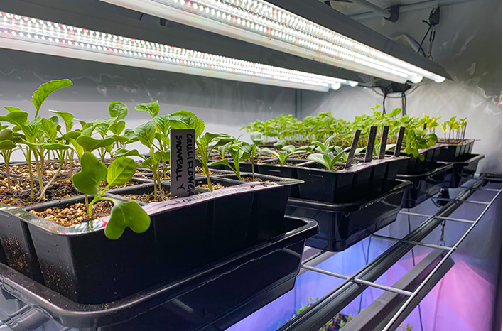 2022 03 01 11.12 708x466