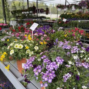 annual arrangments